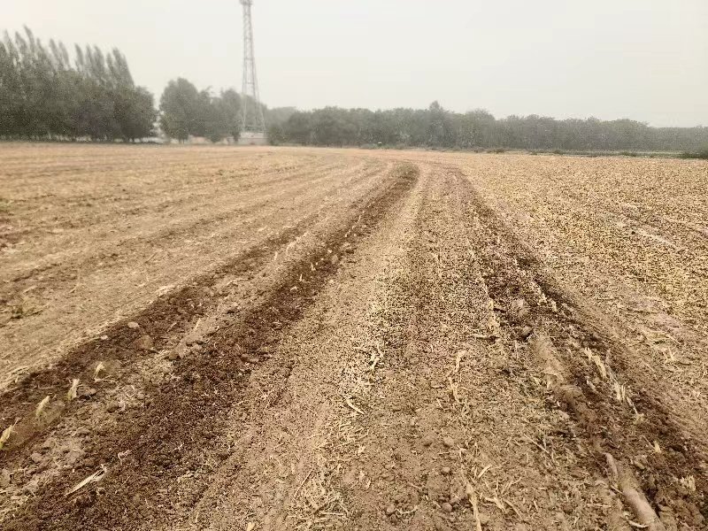 殘膜回收機