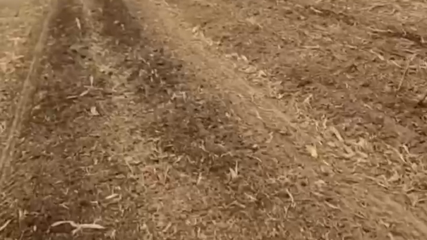 殘膜回收機